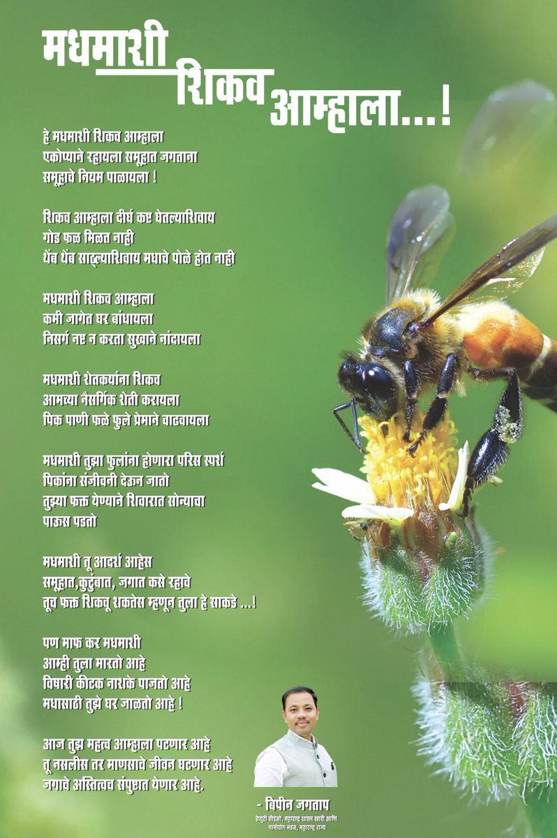 #mypoem #savebees #savenature