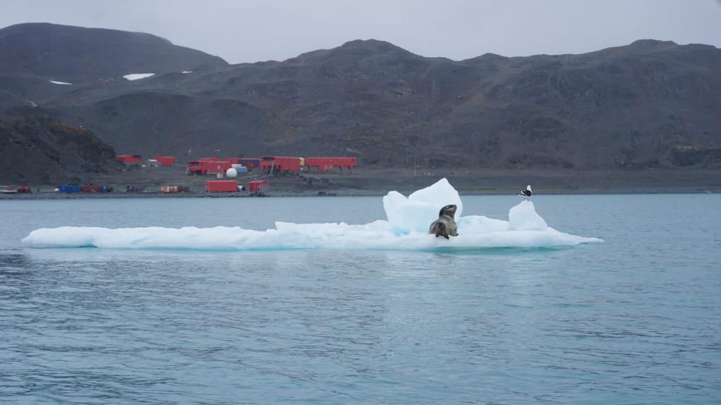 Se apagan las luces en la #BAEJuanCarlosI y se cierra hasta la campaña siguiente. Felicidades a los técnicos de <a href="/utm_csic/">Unidad de Tecnología Marina (UTM-CSIC)</a> han dado servicio a los proyectos cientificos
Hasta la #campañaantartica siguiente