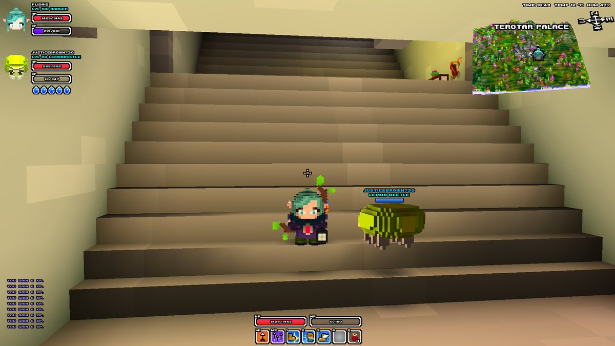 Kumaphos's tweet image. reached lvl 100 #cubeworld