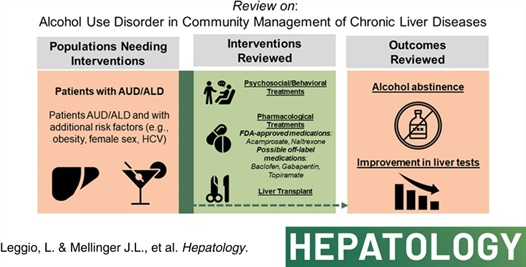 HEP_Journal's tweet photo. REVIEW: Alcohol use disorder in community management of chronic liver diseases
@Lorenzo__Leggio and #JessicaMellinger
#LiverTwitter 
https://t.co/5fBXVY46EA https://t.co/QMNak95swe