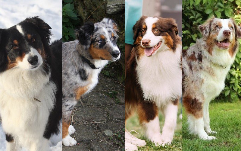 mara ⁕ tweet media