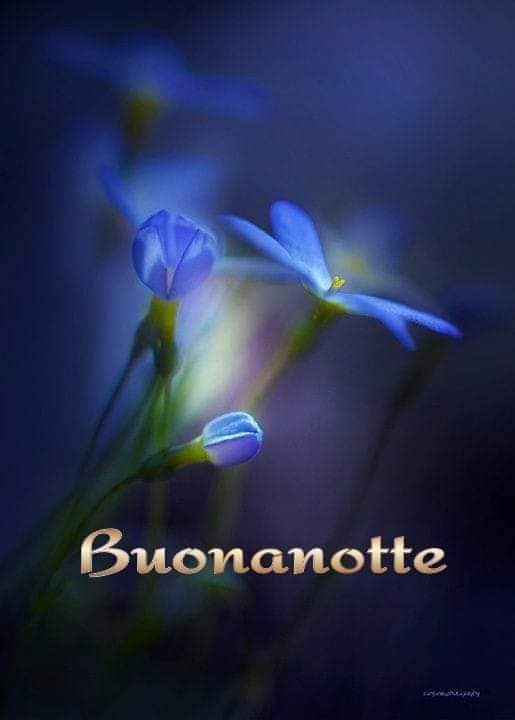 Notte mondo♡