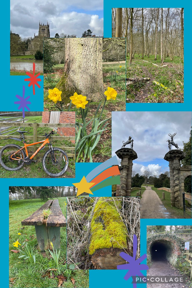 gilljen45's tweet image. #NHS1000miles - YTD 220miles- @nationaltrust - you never disappoint #nationalforrest -beautiful- bluebells getting ready