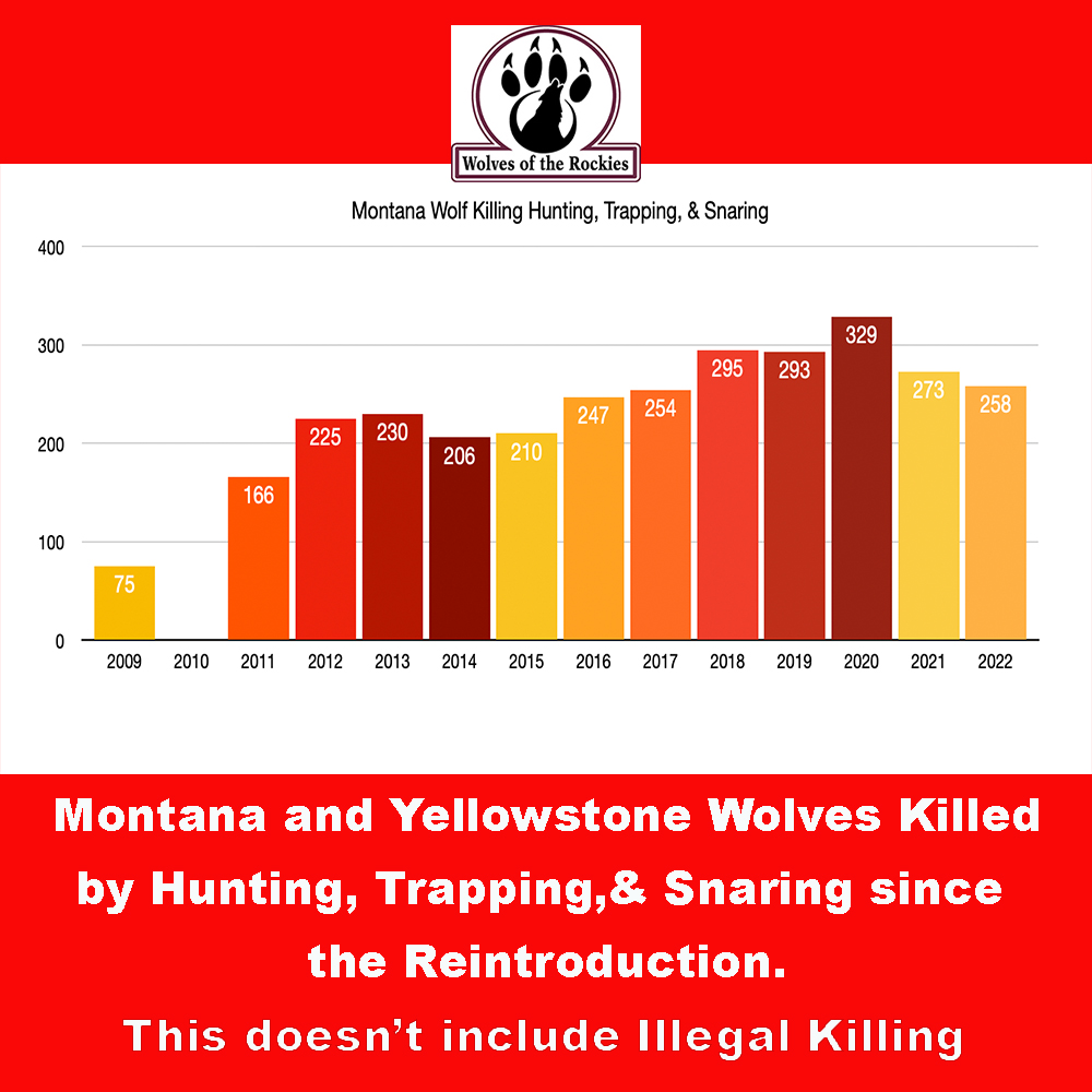 Stop the madness and stop the slaughter!