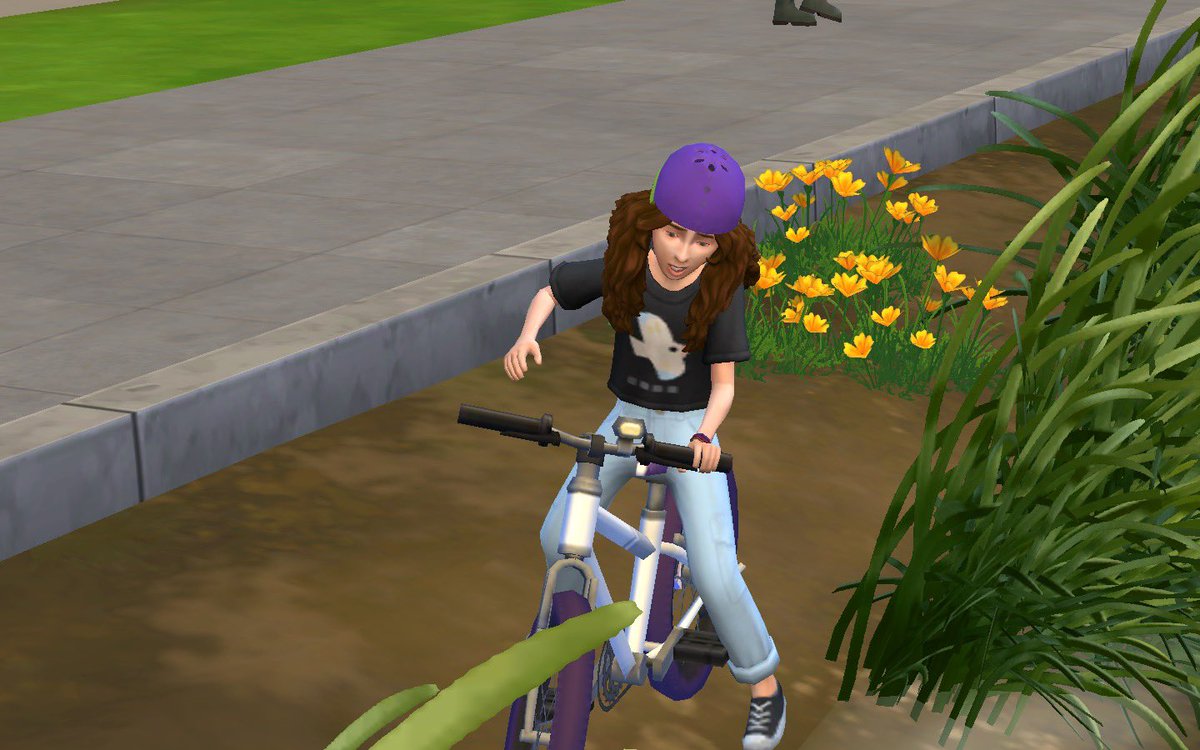 ladybugsimmer tweet picture