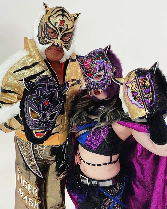 Tiger Mask Wrestler Mask