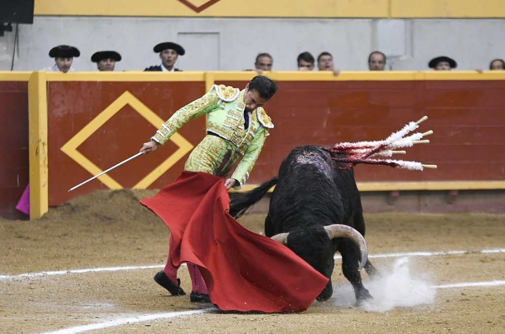 ElMuletazo's tweet photo. #Crónica  #Moralzarzal #CopaChenel 
La espada deja sin premio la entrega de Filiberto en Moralzarzal
🔹️Puerta Grande para Juan de Castilla y Rafa Serna
➕️Info👇
https://t.co/HUy9ndTpsO https://t.co/Lqua8lTagc