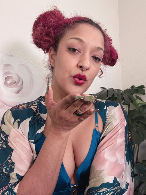 daisyducati