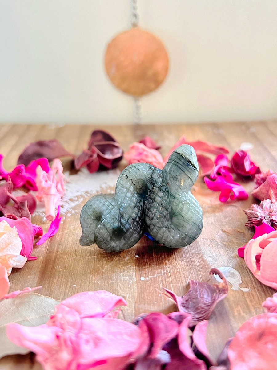 Anna Louise😇🌙🔮 tweet media