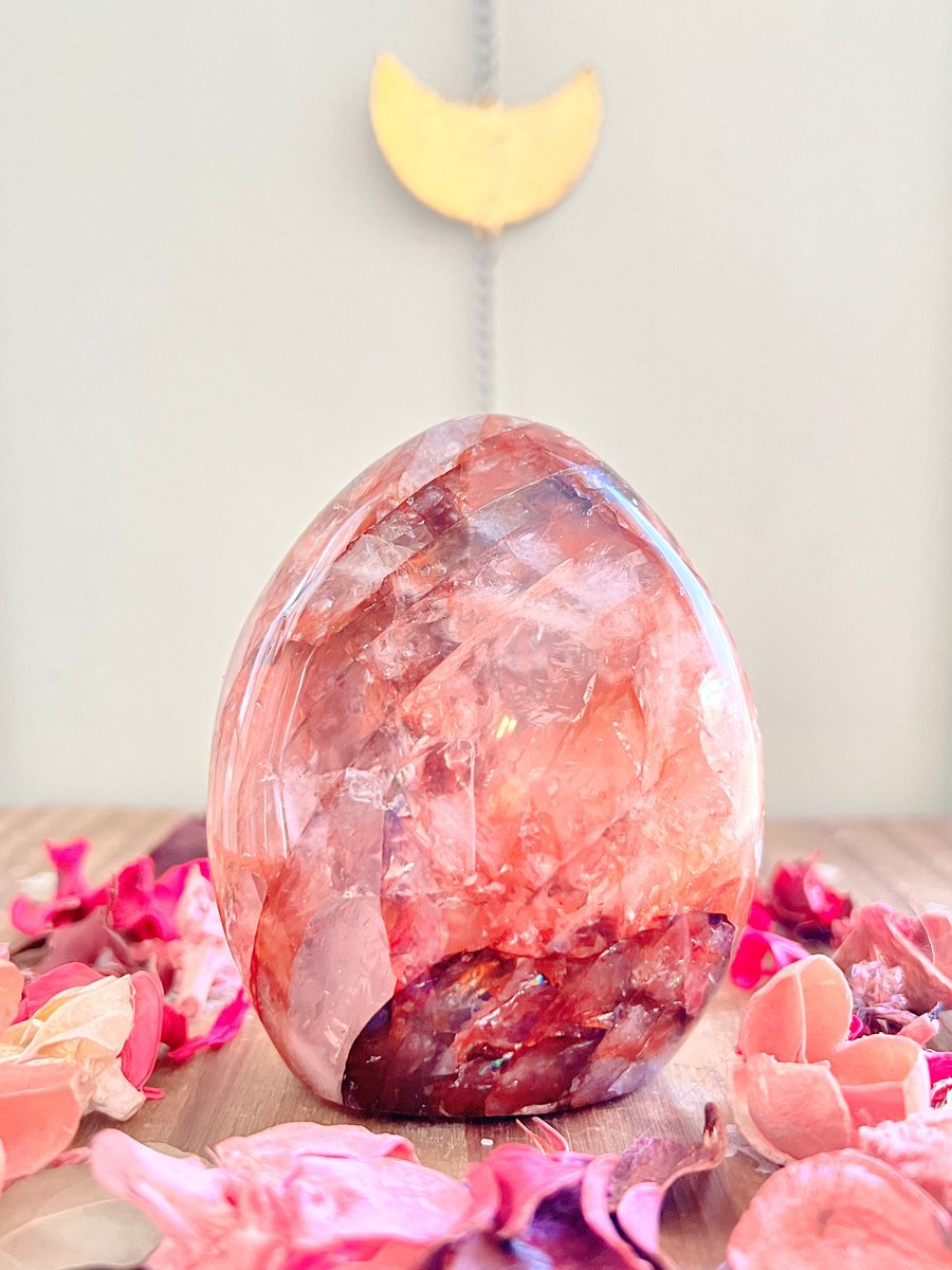 Anna Louise😇🌙🔮 tweet media