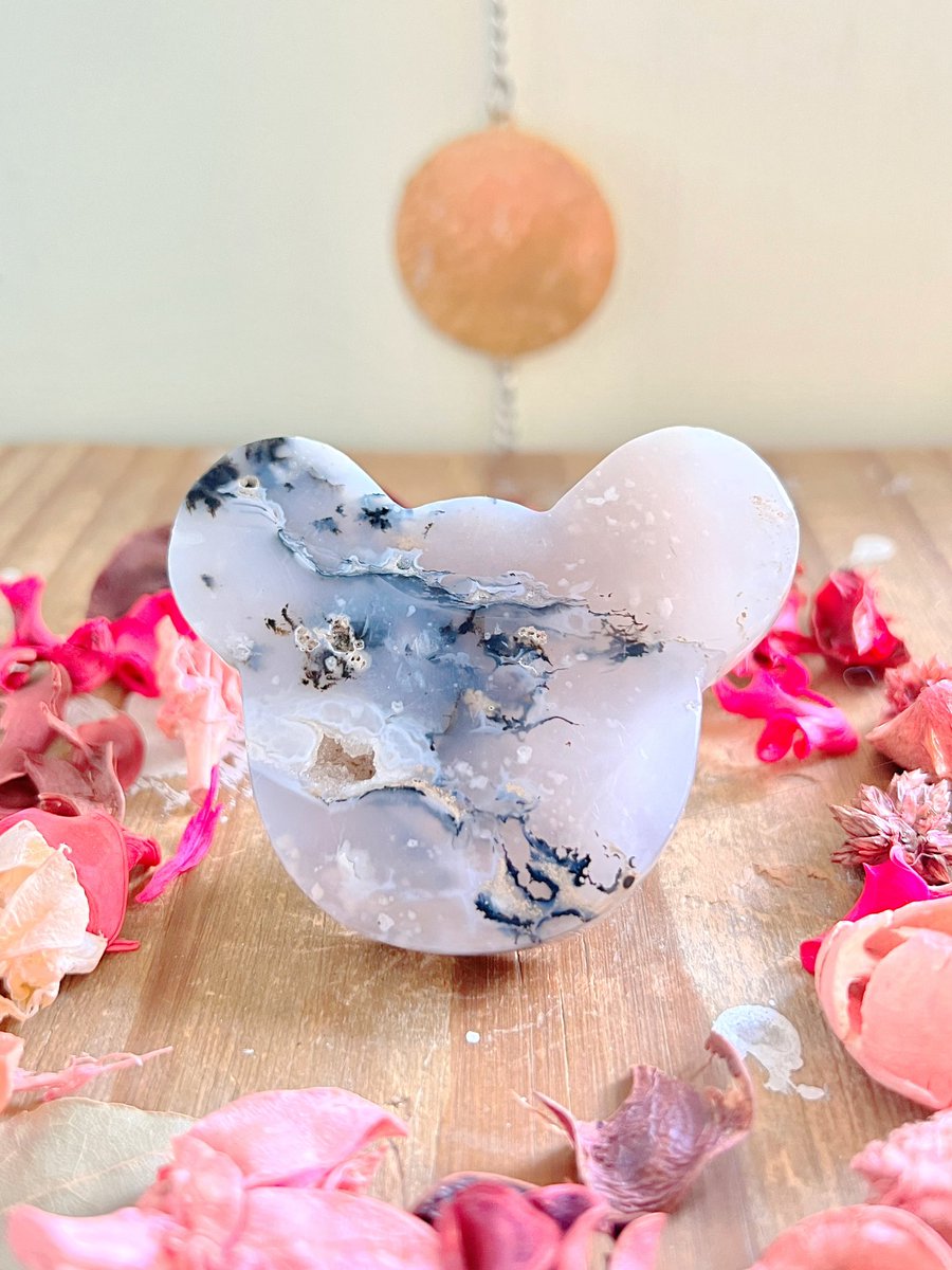 Anna Louise😇🌙🔮 tweet media