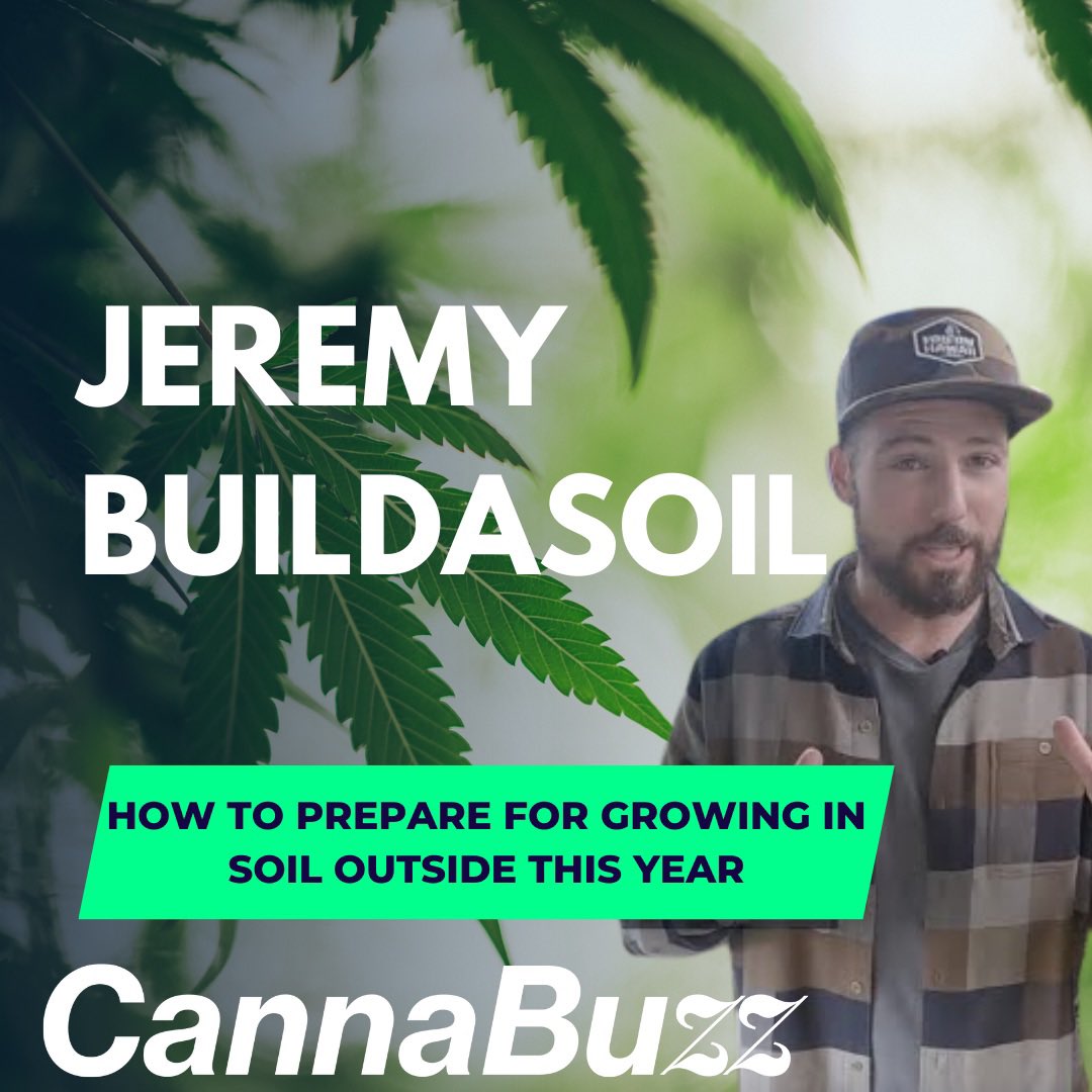 CannaBuzz tweet media