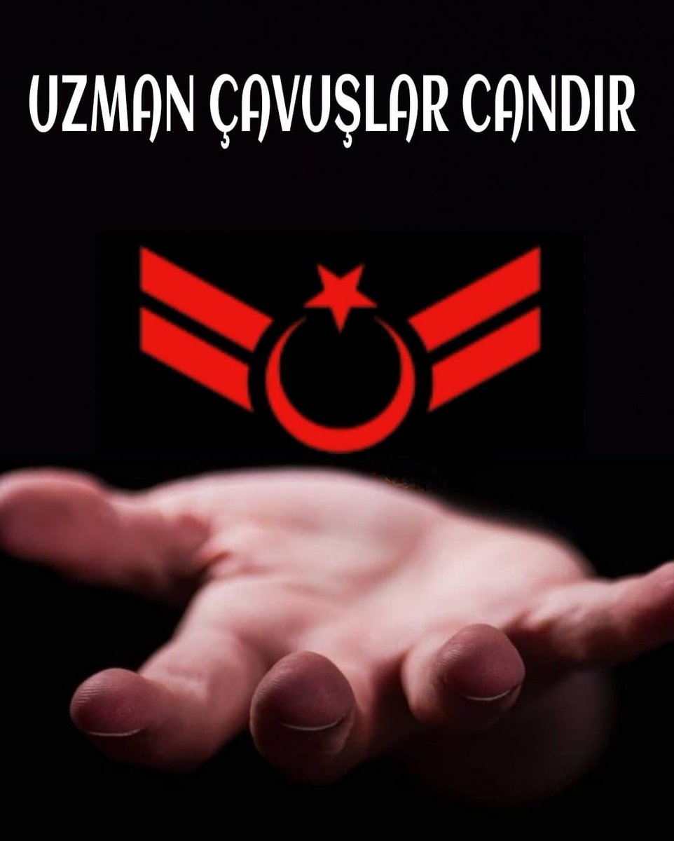 Vatan Savunmasının Sözleşmesi Olmaz 🇹🇷
Kahraman Uzman Çavuşlar 
'' K A D R O '' bekliyor.
Can feda eden Vefa bekliyor.

Bu milletin yiğitleri hak bekliyor
Şehitler, Şehadet adayları hak bekliyor
Kahramanları duyun

K A D R O    
    
#UzmanÇavuşlarTorbayasaya