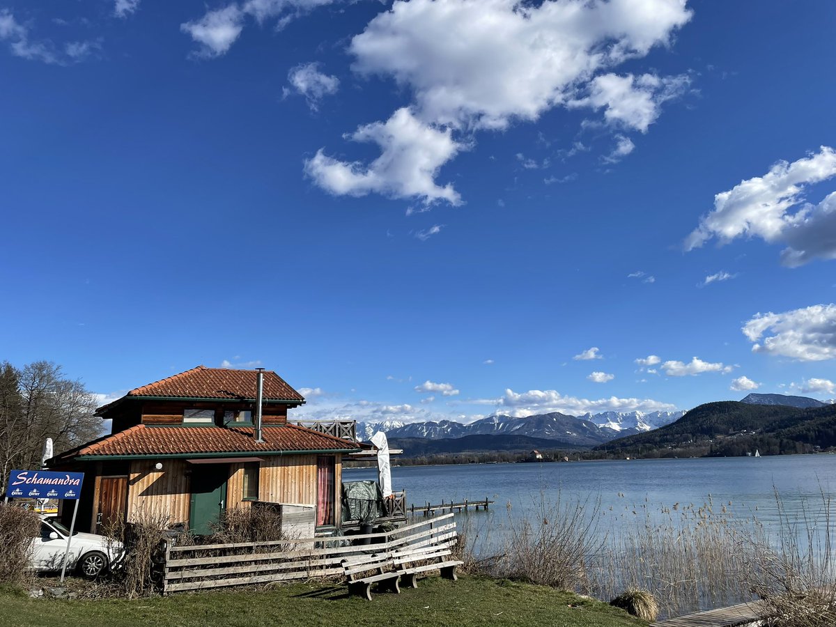 Martin Scheuregger tweet media