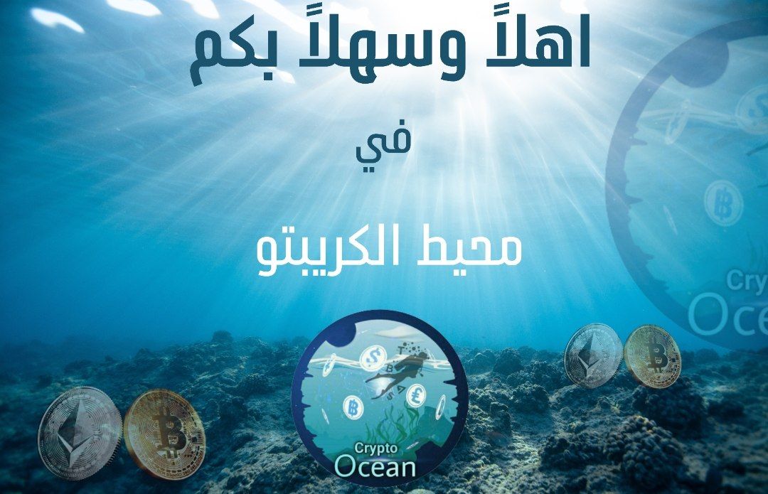 Crypto Ocean tweet media