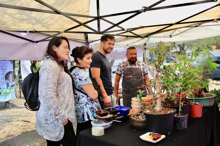 Este domingo en la #VíaHaciaElFuturo aprendimos y disfrutamos en familia de distintas actividades como: 

🥊Clase de defensa personal con Marilyn Badillo Campeona Fecarbox del WBC
🌳Expo de Bonsai
✂️Cultiva de Bonsai 
🛍️Bazar juvenil

 #SomosIMJUCI
