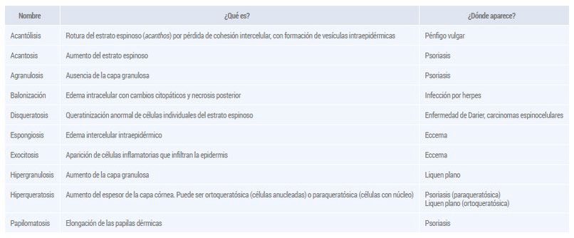 PROMIR_esp's tweet photo. 👉 En este esquema que aparece en la Manual #PROMIR de mostramos las alteraciones histológicas básicas.
📖 ¿Te gustaría tener este manual?
📩 Email: info@promir.es
✅ WhatsApp: +34 626 67 39 51
🌐 https://t.co/04VzqNL6ZR
#PromirTeAyuda #RepasaConPromir #examenMIR #2MIR24 https://t.co/KWXWQ9W76j