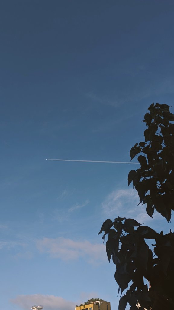 yoosuf. S tweet media