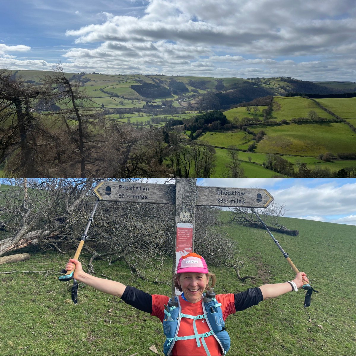 lucy gossage tweet media