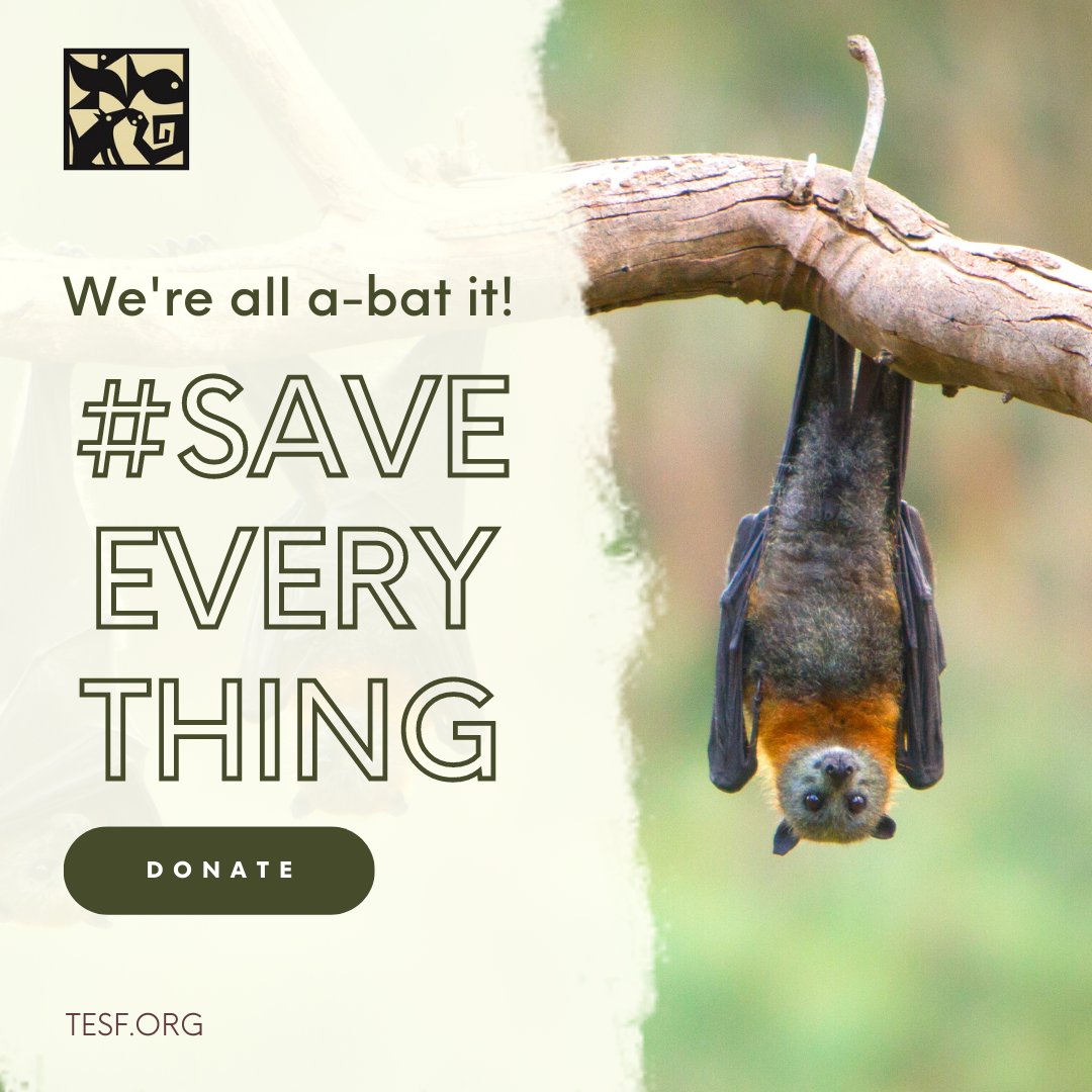 Turner Endangered Species Fund tweet media