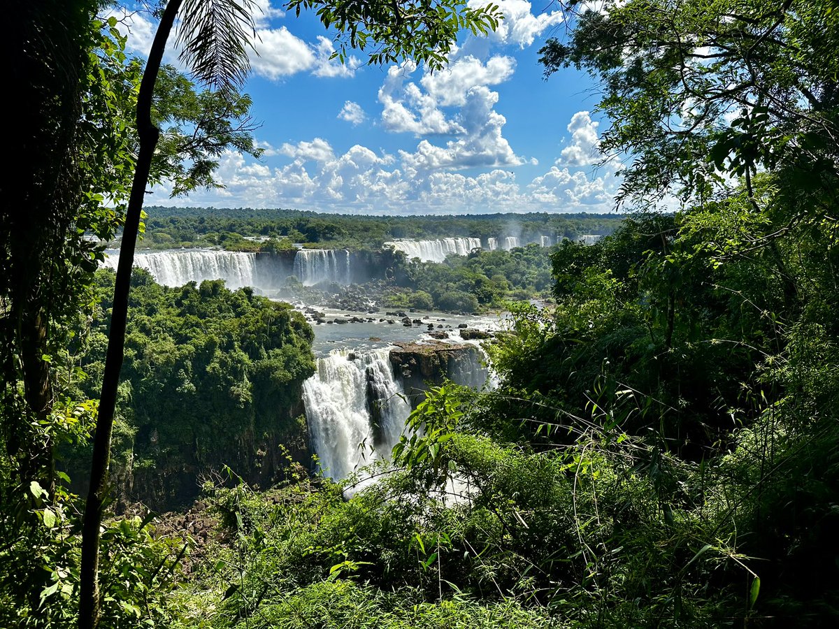 christopher mitchell tweet media