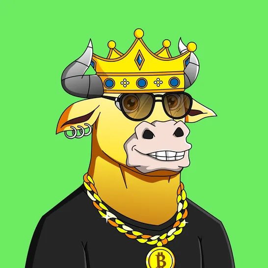 Bullish Bros tweet media