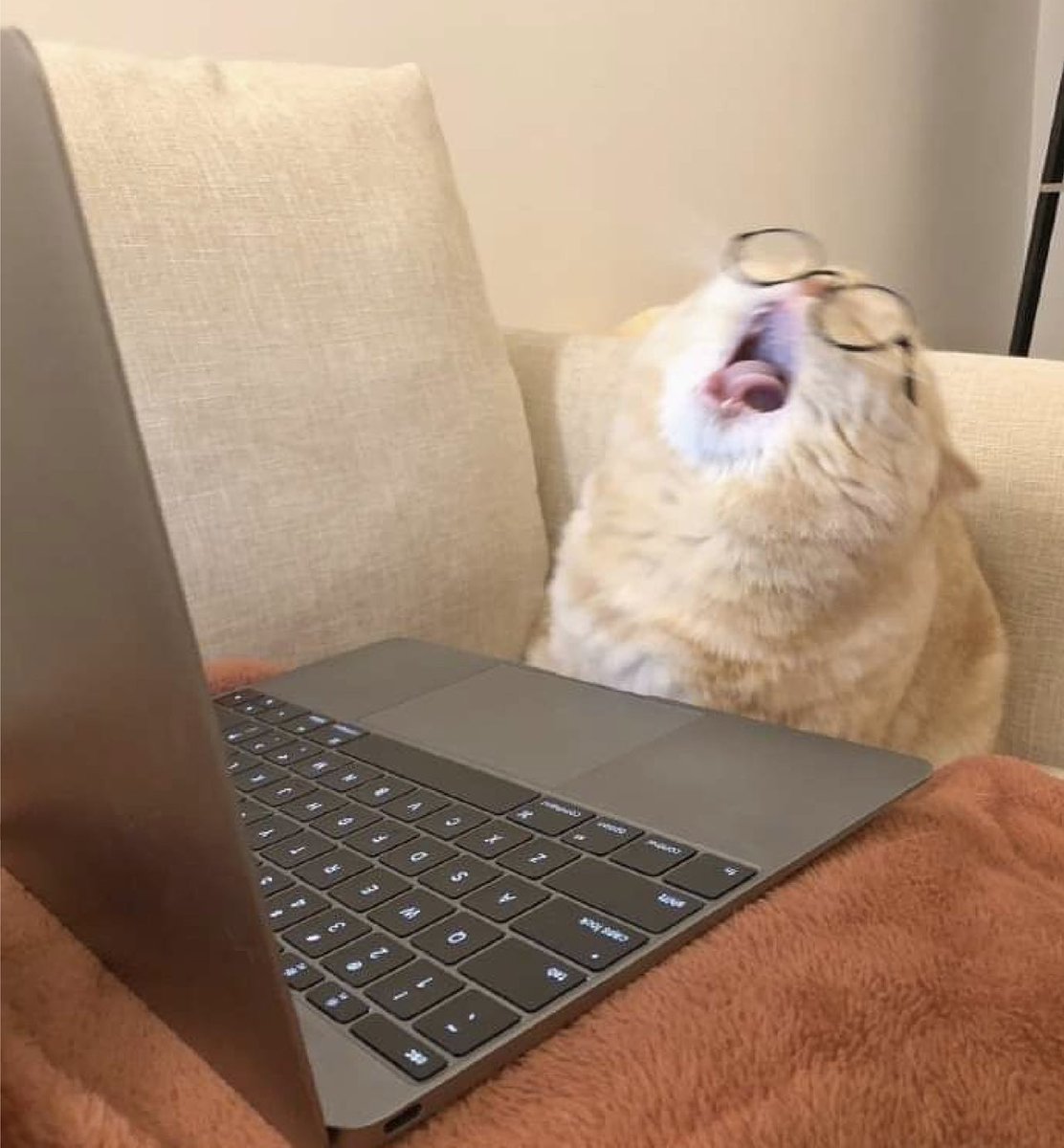 bib 🐥☕️ now on VGen! tweet media