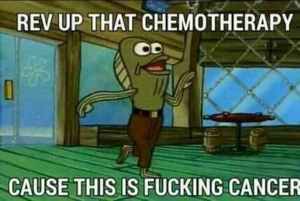 Starbotics_INC's tweet photo. Mostly memes but their thr last saved fictional characters I have https://t.co/wDISaN01Eh