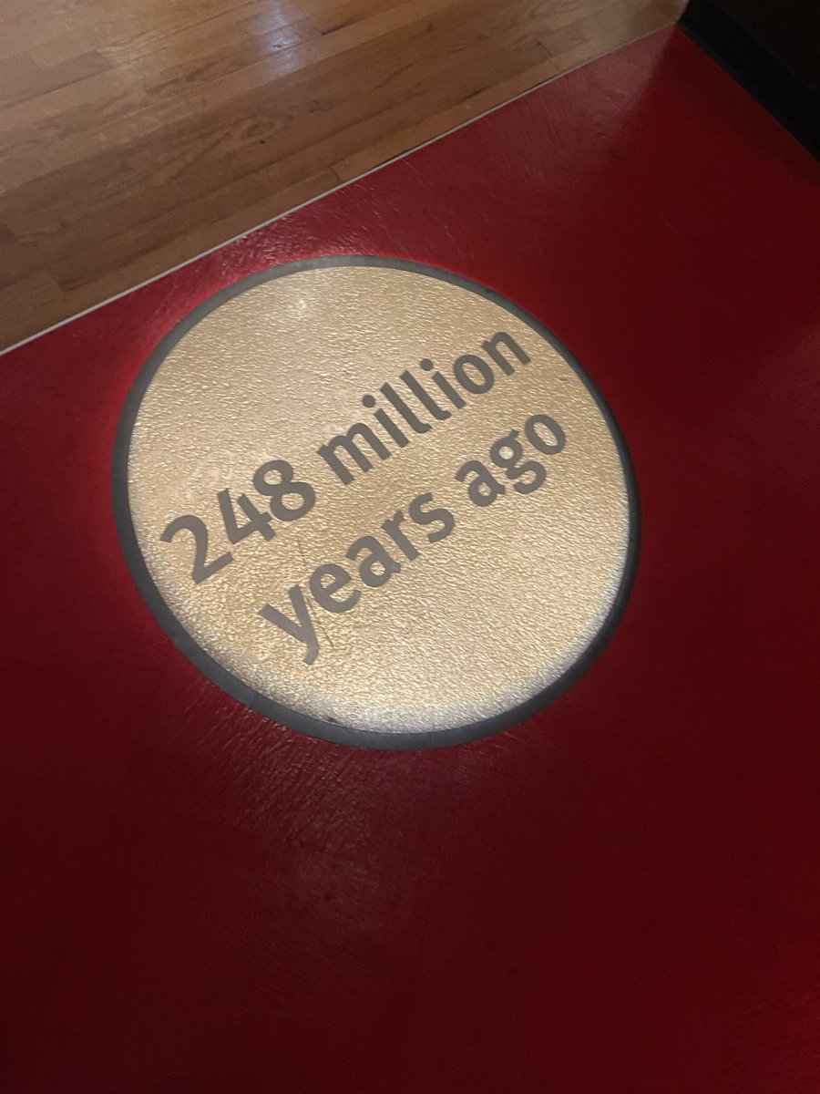 YexBio's tweet image. Egg fact: The egg came 248 million years before mammals and birds/reptiles.  A timeless and near universal food source 🥚🧫🍔🐣✅@FieldMuseum @CFIN_RCIA @Sunnybrook @cellagritech @cellagcanada @DrLenoreNewman @Feeding9Billion @creativedlab #CultivatedMeat #fbs