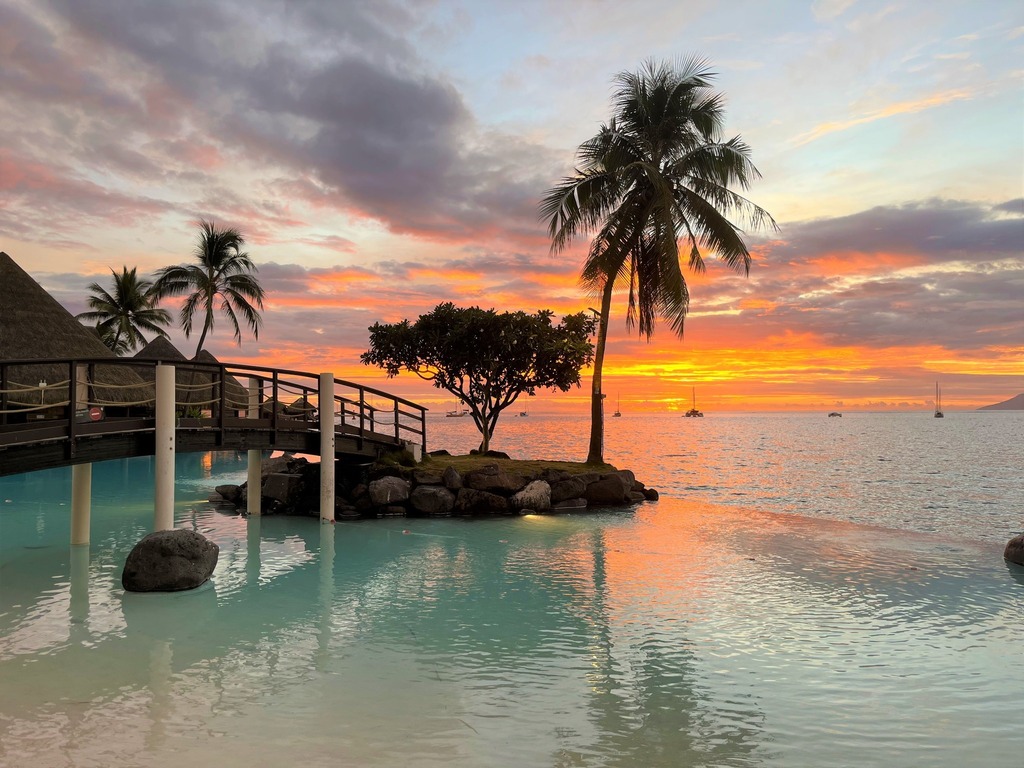 Pacific Beachcomber tweet media