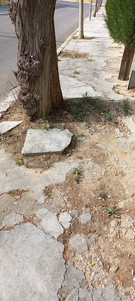 ASOCIACIÓN VECINAL URBANIZACIONES LA CAÑADA tweet media