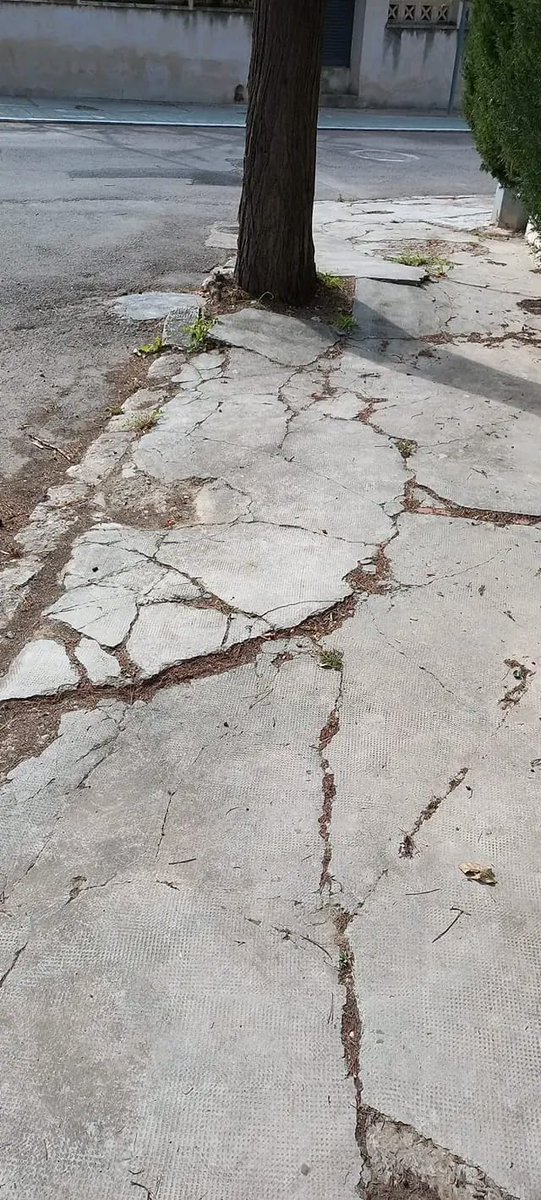 ASOCIACIÓN VECINAL URBANIZACIONES LA CAÑADA tweet media