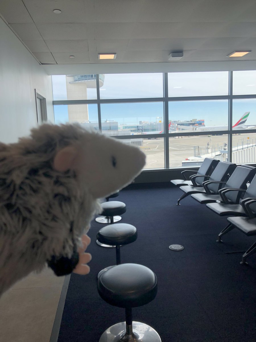 Douglas Oliver [opossum] and I went on several visit days and are super excited to start my PhD with @DrMetaxa <a href="/CIS_Penn/">Penn Computer and Information Science</a> 🥳🤗🤗🥳🤠🐀 yaaay