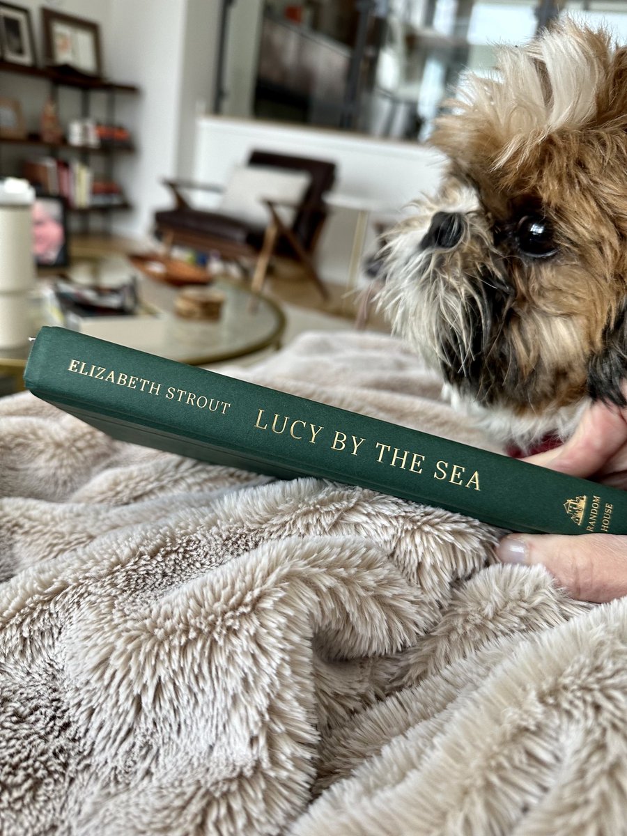 A perfect snowy day to read my March book club selection snuggling with my fave. 
#elizabethstrout
#lucybythesea