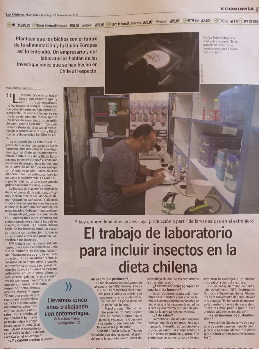MaxLobosCL's tweet photo. ¿Cambiarías tu delicioso asado de vacuno por unas paila de larvas de mosca, o grillo salteado? La ONU y la Unión Europea quieren que sí, y que no tengas alternativa, en nombre del medio ambiente y de consignas liberticidas sin sustento. 👇 https://t.co/252nXEo4Xd