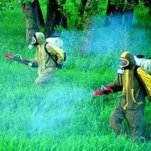 #НоваяАватарка