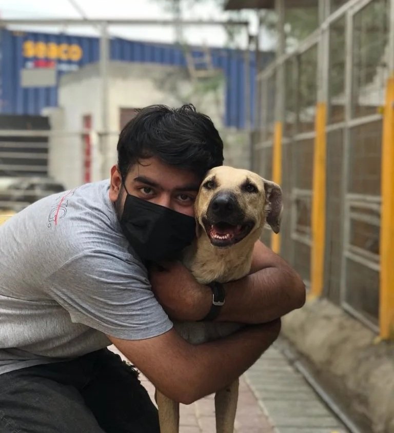 tws_pk2's tweet photo. Hey Everyone! It's Adam here. I'm a TWS board member and will be keeping you updated about the work we do. Hope you guys continue to join us in our journey of helping the voiceless of Pakistan. 
And this is our pretty Kelsey who is looking for a home btw 💜 https://t.co/cZZBsOKDiN