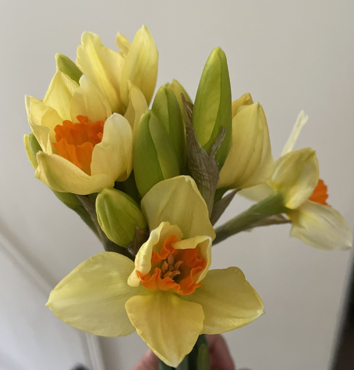 Happy Mothering Sunday to all our lovely Mums, Grandmas, Aunties and those who mother! We hope you are enjoying your day 🌸It was lovely to see so many in Church this morning, we were very proud of our confident little singers! 🌸