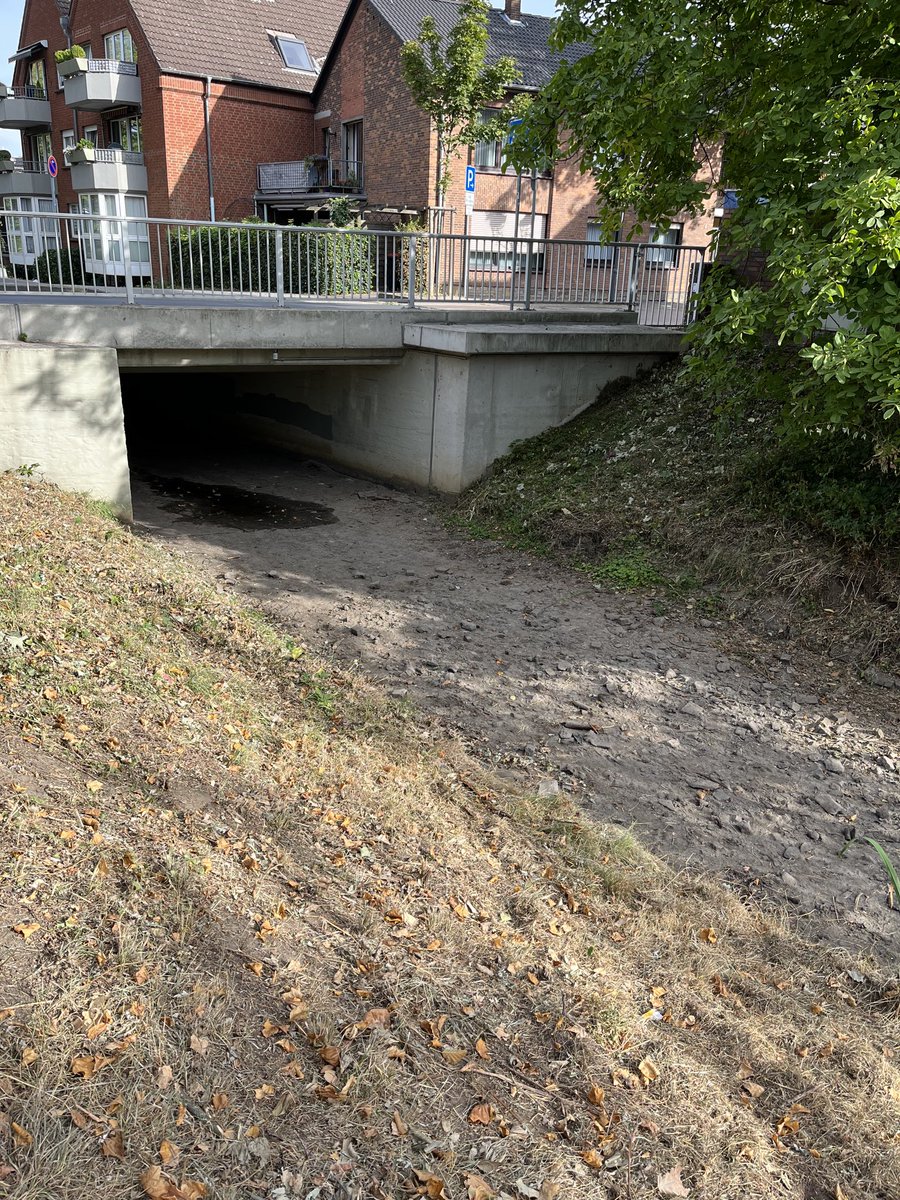 David75Pink's tweet image. Der #Rotbach in #Dinslaken…..völlig ausgetrocknet😢