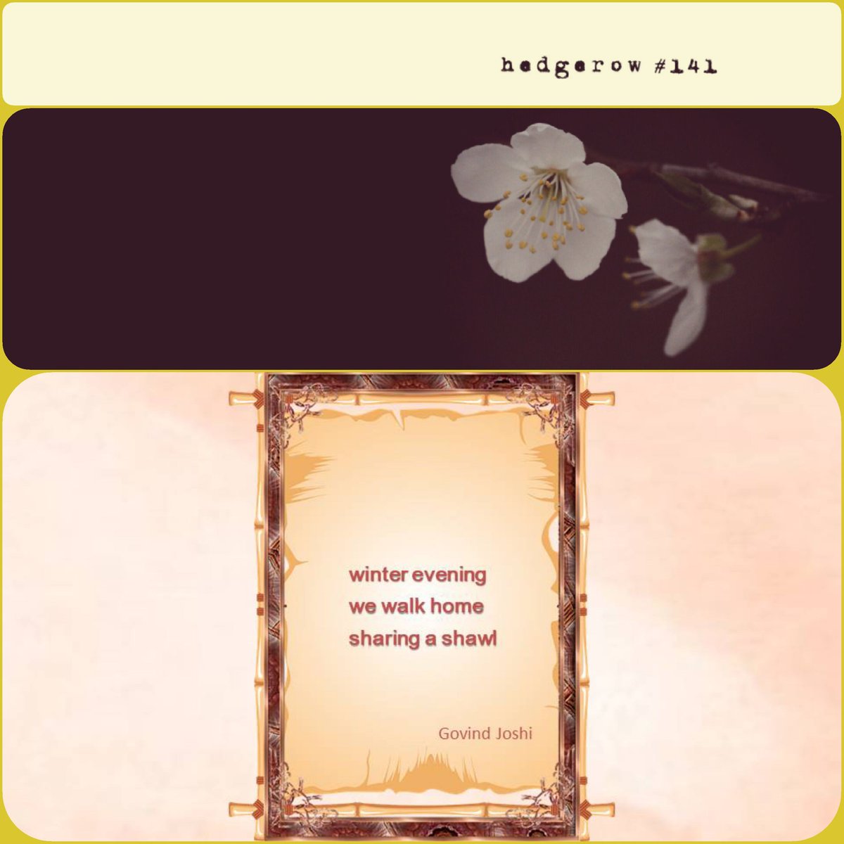 Gjoshi64's tweet photo. Many thanks Caroline Skanne (@CarolineSkanne) for including my haiku in hedgerow: a journal of small poems #141.
https://t.co/X3OKSyibMe

#Haiku #Senryu #ThePlumBlossoms https://t.co/hjPYcYIkFz