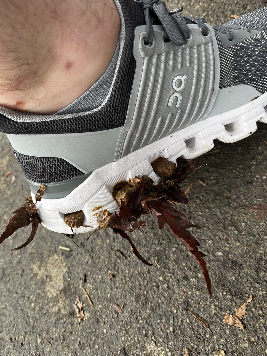 Just stood in the worst dog shit in the history of standing in dogshit. It’s come through the holes and everything ☹️🤣🤣🤣🤣