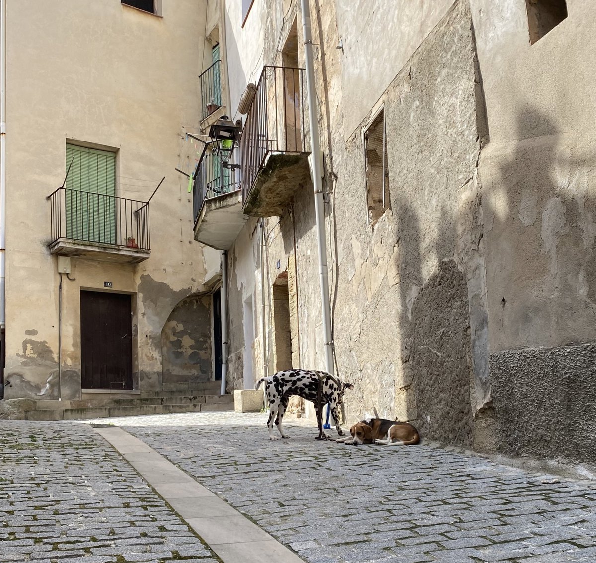 Un finde molt guai🥰