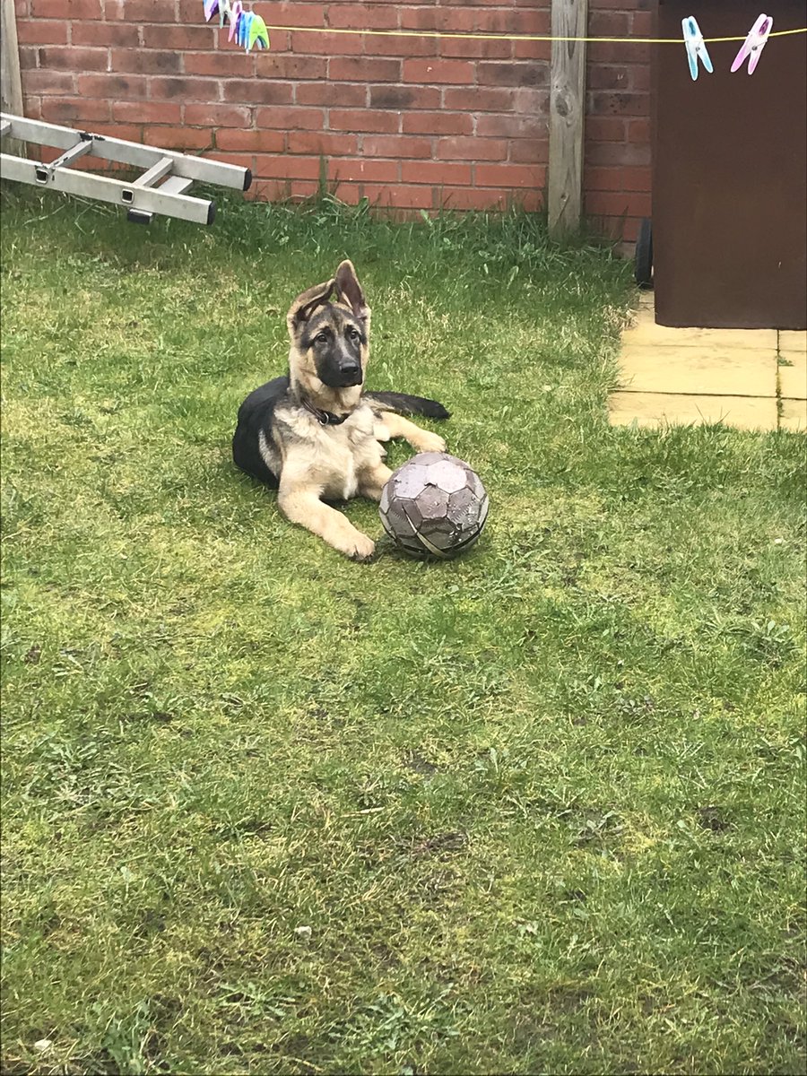 Michelle tweet media