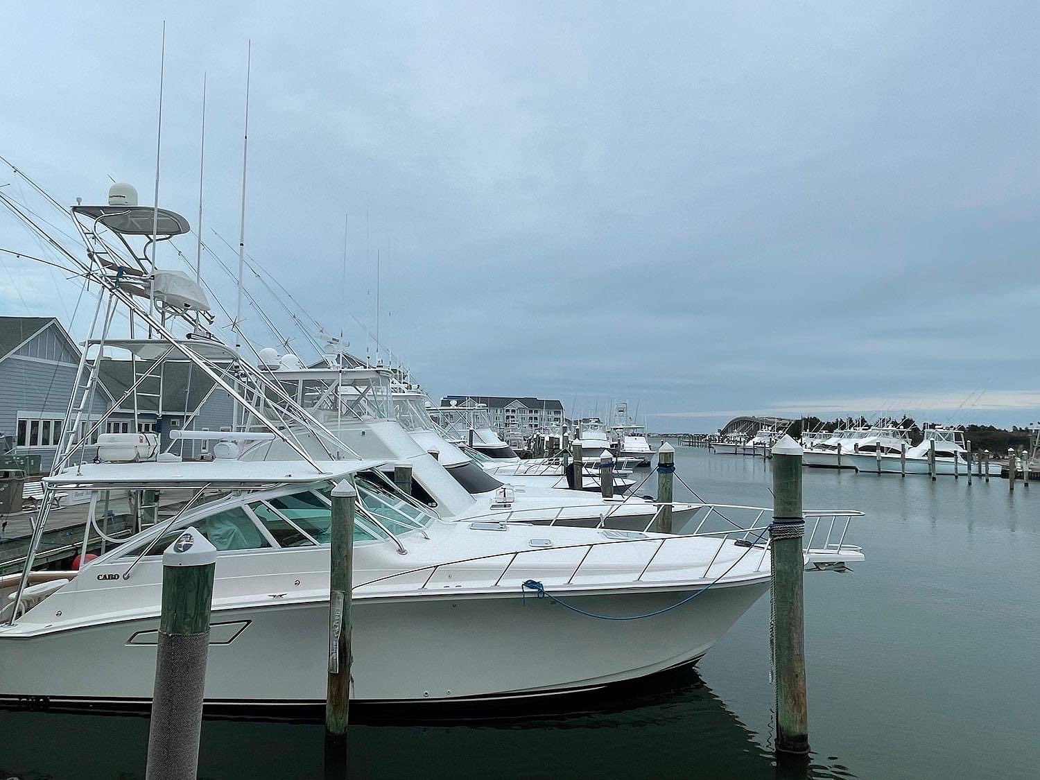 茂木陽一世界を釣る 世界のモンスターたち | edmutilitas.cz