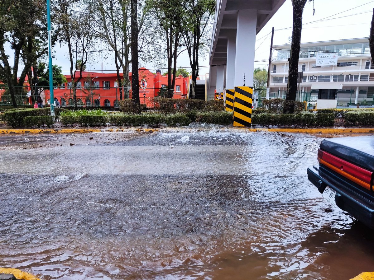 LeonardoBust's tweet photo. @CMAS_Xalapa #xalapa fuga grandísima en la Av Xalapa. https://t.co/ZPy2GGRLas