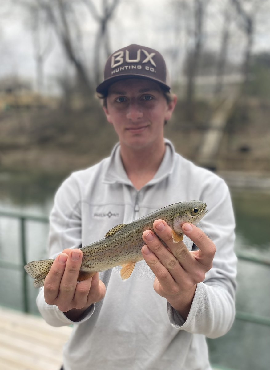 Beau Perry tweet media