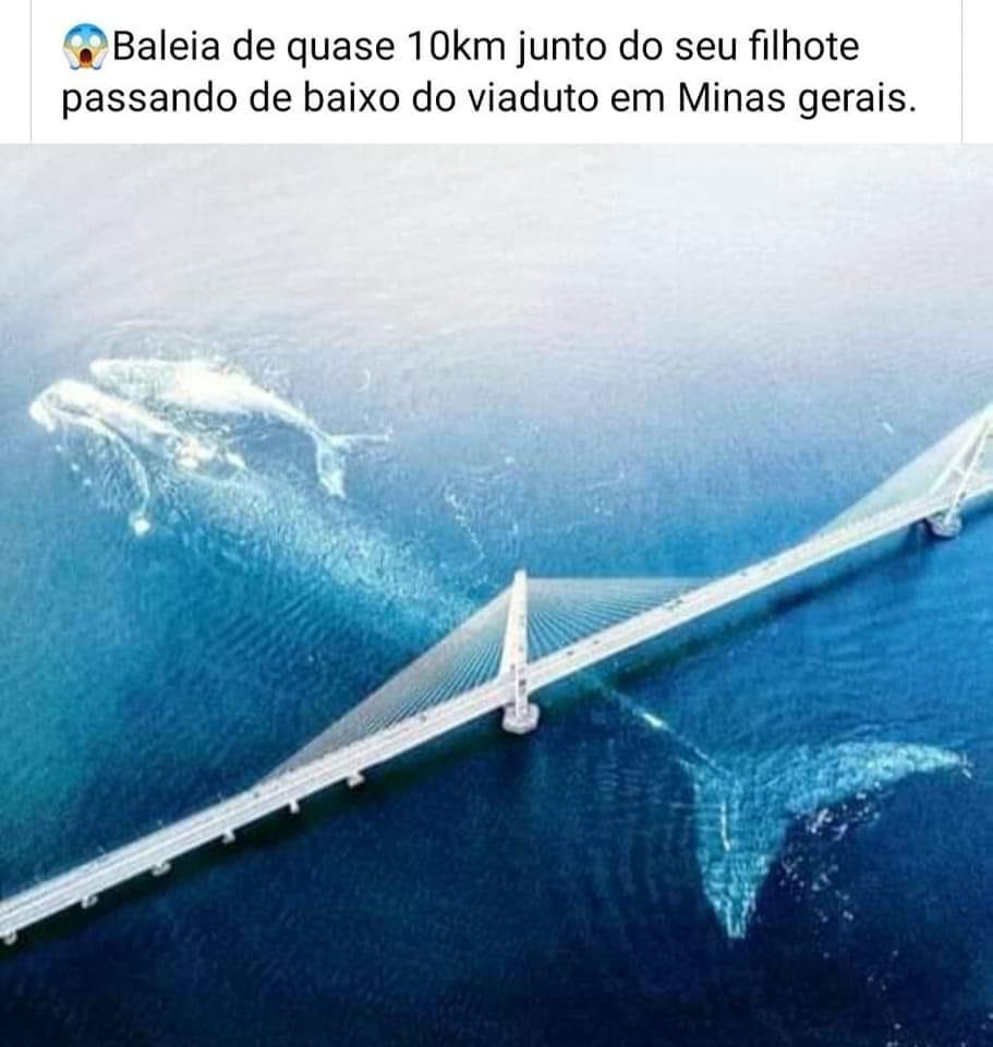 Ninguém: a 
Posts do @Astronomiaum