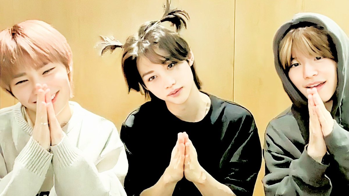 ︎ ︎ ︎ ︎ ︎ ︎ ︎ ︎ . ⁺ 🎸!! ﾟ ◦ cccoquitows tweet media