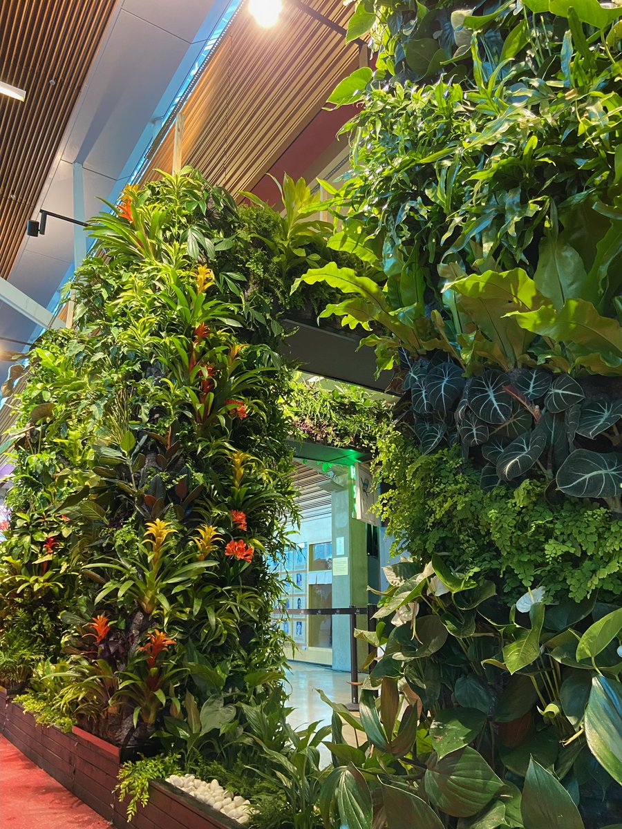 GreenOverGrey's tweet photo. Happy Sunday Vancouver ! 
Last chance to check our living wall exhibition at the BC Home and Garden Show this Sunday @bcplace (10 am to 6 pm). DM us for a pair of free tickets (only a few left) #greenovergrey #livingwalls https://t.co/LRtkHFjior