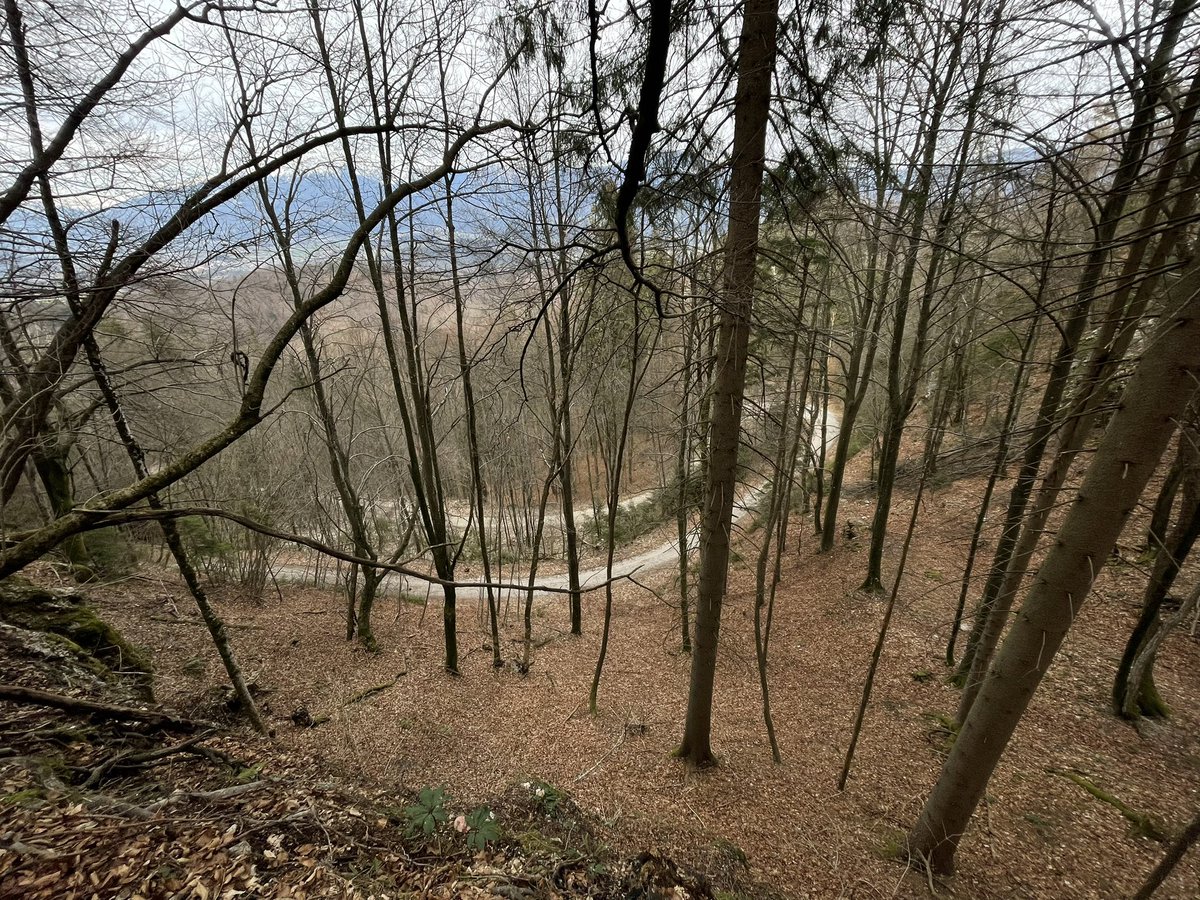 BustedSoles's tweet photo. It’s still early spring and still possible to get nice views through the trees. Some steep sections on a proper hill run to Mt Vodice (~900m elevation gain in total) https://t.co/HwE6NTxHlh